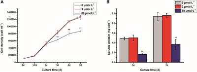 Endoplasmic Reticulum-Mediated Protein Quality Control and Endoplasmic Reticulum-Associated Degradation Pathway Explain the Reduction of N-glycoprotein Level Under the Lead Stress